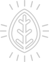 8188cc威尼斯(中国)有限公司官网